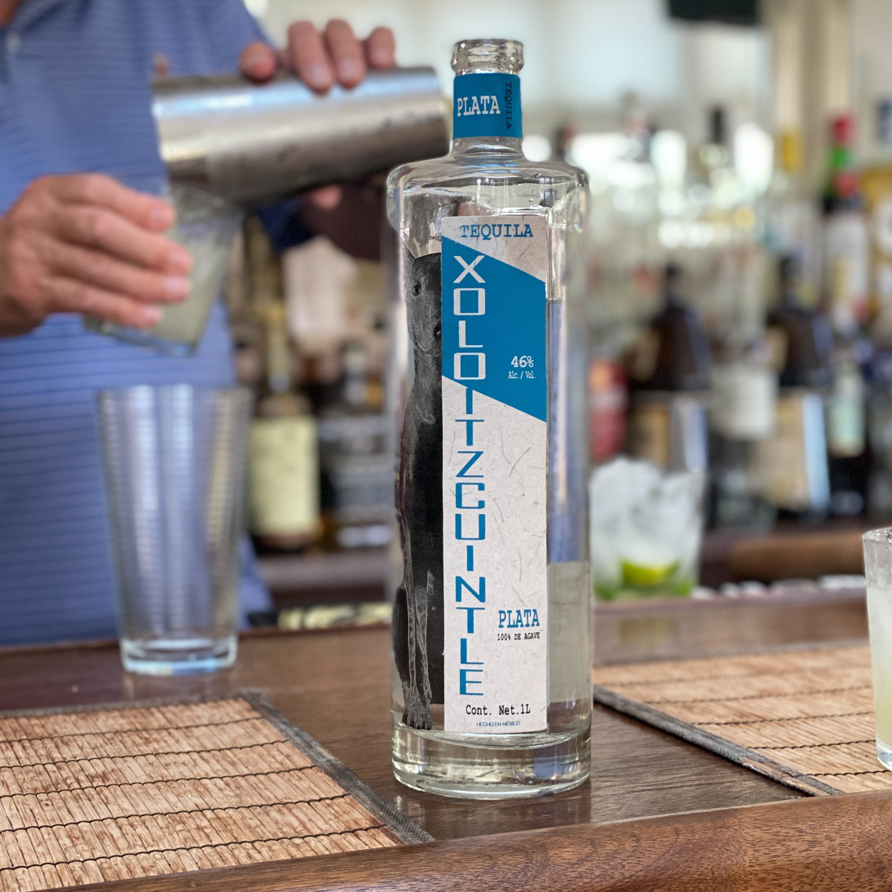 Xoloitzcuintle Tequila – Xolo Blanco 1 01.24.23