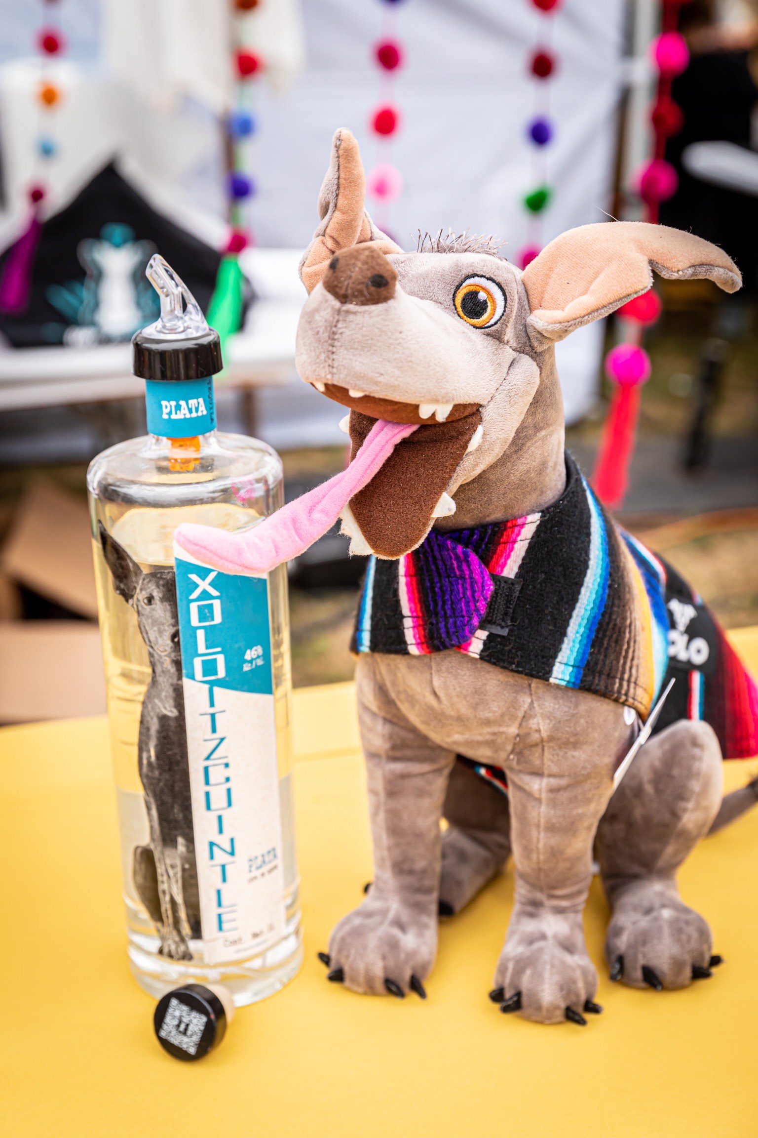 Xoloitzcuintle Tequila – Xolo Blanco 3 01.24.23