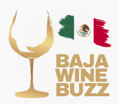 Baja Wine Buzz Baja Wine Buzz